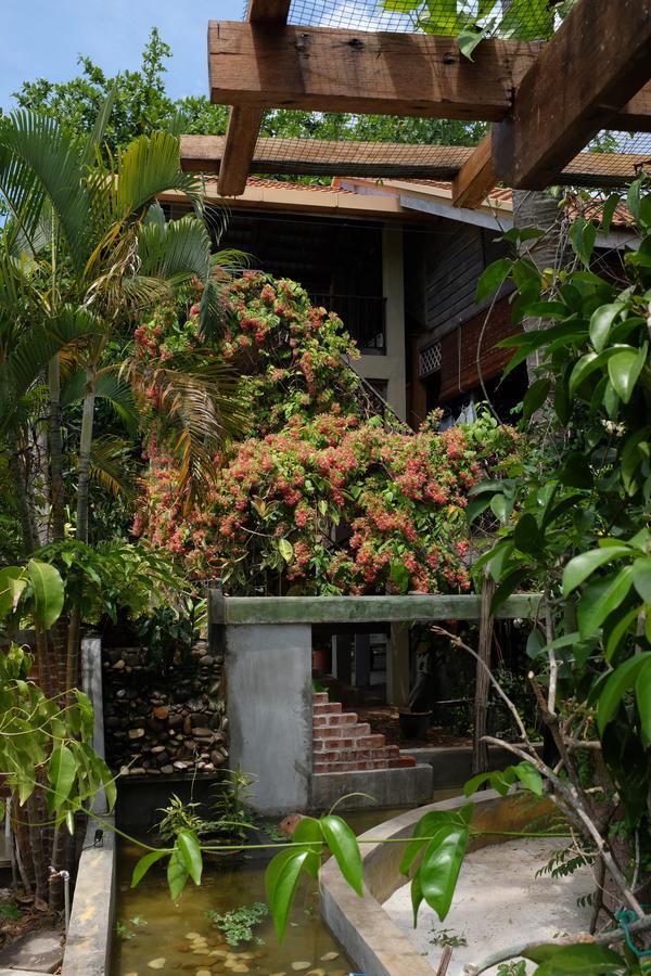 פנתאי צנאנג Panji Panji Tropical Wooden Home מראה חיצוני תמונה